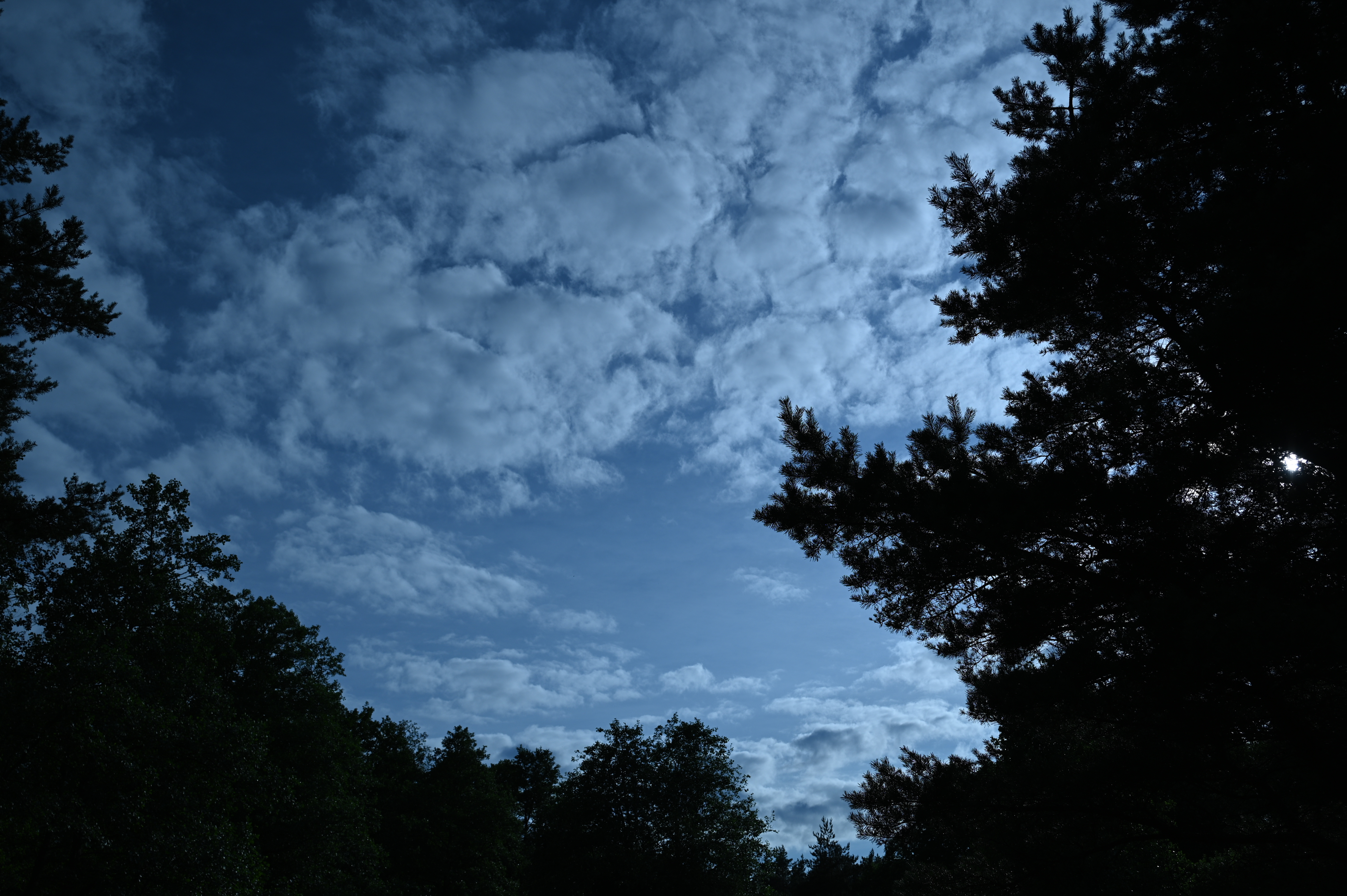 2025/07/09-14 - trip/DSC_0029.JPG